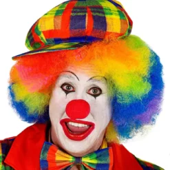 WIDMANN Vet Kleurige Pet Clown Geblokt